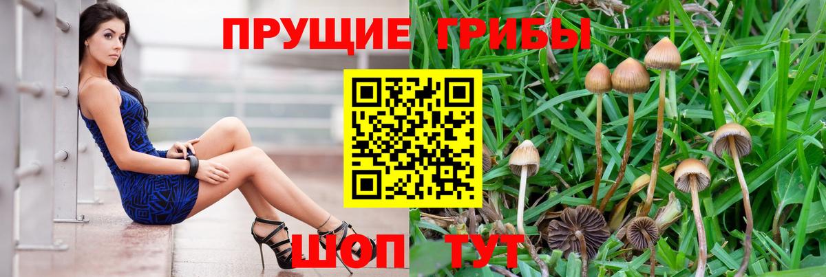 Псилоцибиновые грибы Cubensis  Вход с VPN  Югорск 